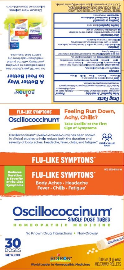 LABEL - Oscillo 30 ETU.1K9W 072024